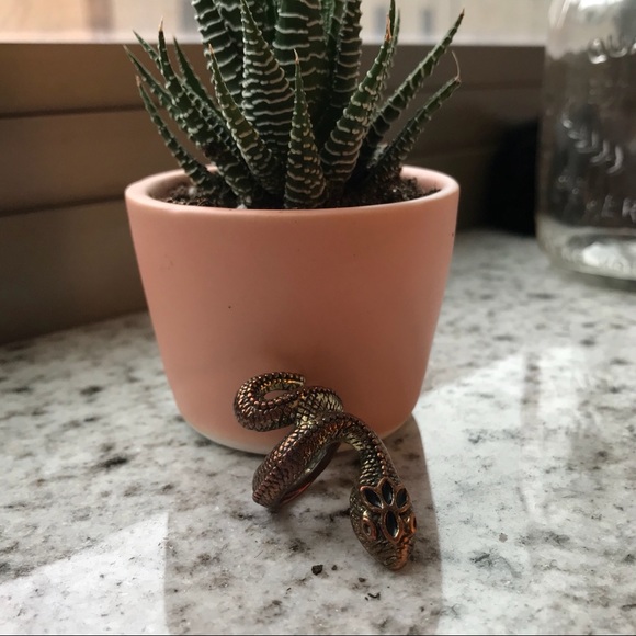 Snake Ring - Picture 4 of 4